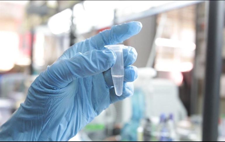 Un total de diez vacunas europeas, estadounidenses, chinas y rusas están siendo probadas actualmente a gran escala en todo el mundo. EFE/ARCHIVO