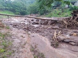 El lodo dañó áreas de cultivo en el ejido Plan de Ayutla, así como animales de corral. ESPECIAL