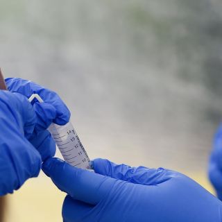 Coronavirus en México: Aplican pruebas en el Senado