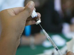 Durante la conferencia matutina de López Obrador, el canciller indicó que se está en ''semáforo verde'' en el avance de las fases de los laboratorios con los que México tiene convenios. EL INFORMADOR / ARCHIVO