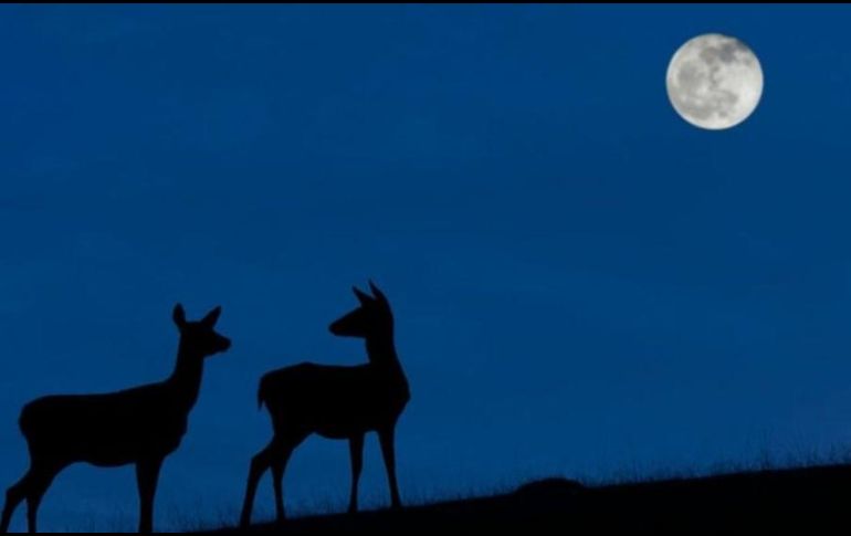 El mejor momento para ver la 