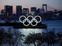 Su función principal será ''detectar infecciones si se producen y dar una respuesta inmediata''. EFE / ARCHIVO