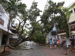“Zeta” es el undécimo huracán de esta temporada ciclónica en la cuenca atlántica. XINHUA/N. Pescador