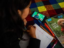 Gran parte de los encuestados señalan que les gustaría mucho contar con más materiales didácticos, como libros o juegos. EFE/ARCHIVO