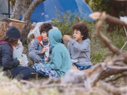 TV. Fotograma del documental “El comienzo de la vida 2: Naturaleza” que llega hoy a Netflix. CORTESÍA