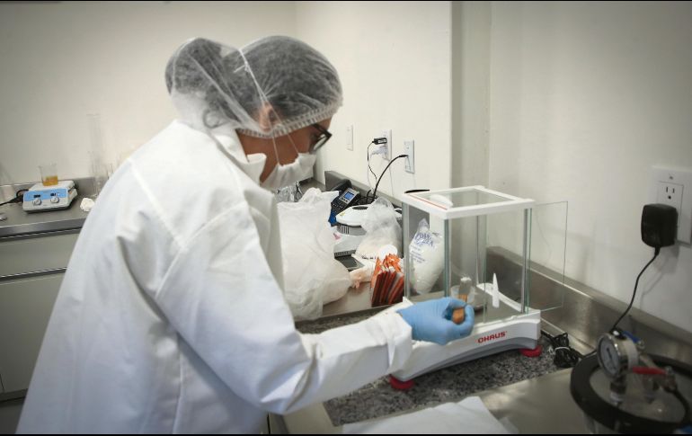 Las soluciones y portafolio de productos de Noverek apoyan el crecimiento de las Pymes especializadas en el sector alimentario. EL INFORMADOR/F. Atilano