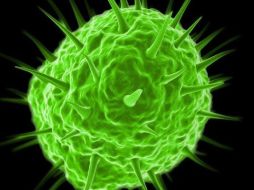 Los pandoravirus, incluidos dentro del grupo de virus gigantes, contienen muchos más genes que un virus normal. GETTY IMAGES