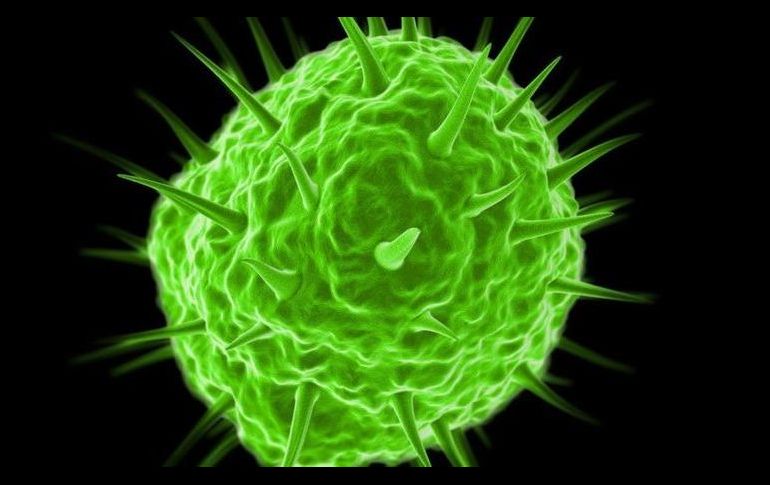 Los pandoravirus, incluidos dentro del grupo de virus gigantes, contienen muchos más genes que un virus normal. GETTY IMAGES