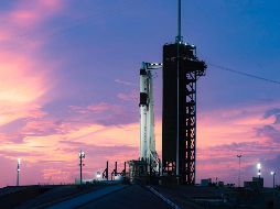 La cápsula Crew Dragon fue certificada por la NASA para el transporte de sus astronautas en vuelos regulares. TWITTER/@elonmusk