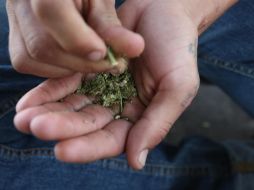 Damián Zepeda Vidales (PAN) rechazó el aumento de la posesión de mariguana permitida, ya que consideró que con ello se generará narcomenudeo. EL INFORMADOR/ARCHIVO