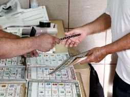 La académica Dolores Pérez-Lazcarro advirtió que los lineamientos se alejan de buscar una paridad sin complicaciones. EL INFORMADOR/ARCHIVO