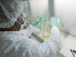 Un operador manipula nutrientes del anticuerpo durante el proceso de producción. LILLY