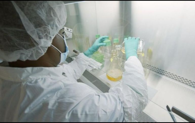 Un operador manipula nutrientes del anticuerpo durante el proceso de producción. LILLY