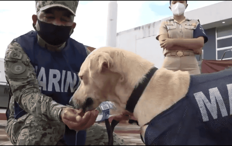 La Semar emitió una convocatoria para que los mexicanos propongan cómo llamar a su nuevo integrante. TWITTER / @SEMAR_mx