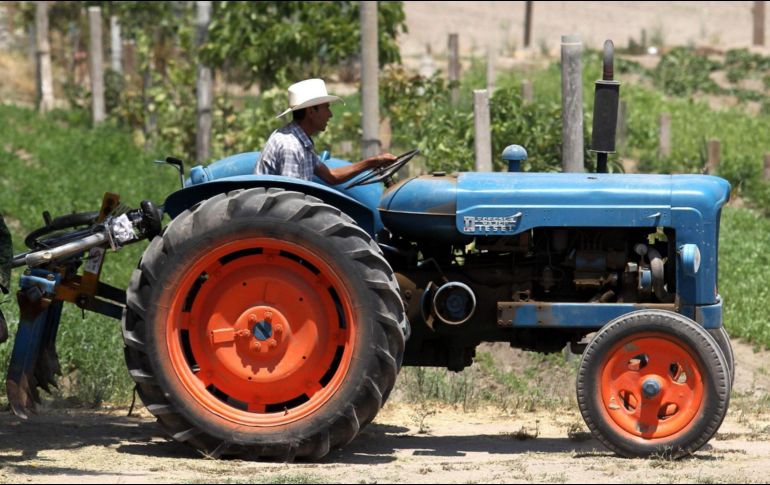 Mediante un esquema de arrendamiento la maquinaria del programa costó 15% menos que su precio de mercado. AFP/ARCHIVO