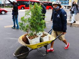 Activistas de la marihuana protestan por calles de Ciudad de México para exigir su legalización. EFE/J. Pazos