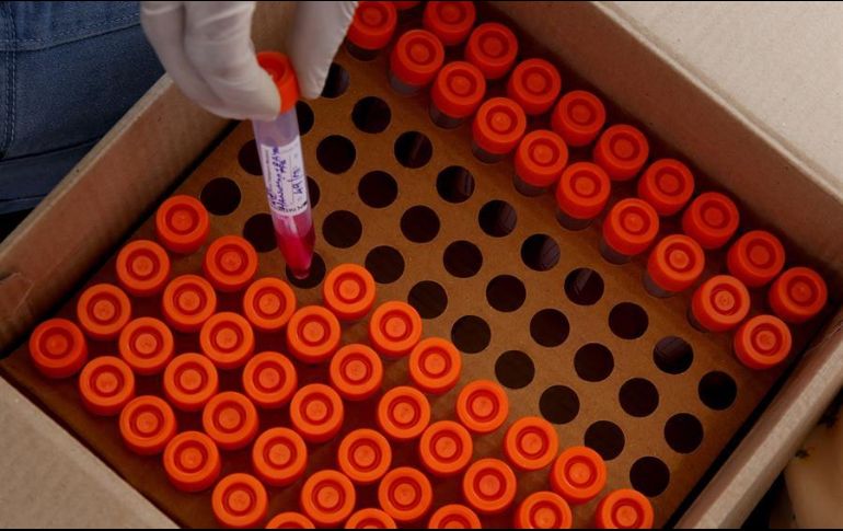 El total de infecciones confirmadas en Estados Unidos rebasó ya los 11.7 millones. EFE/J. Nv