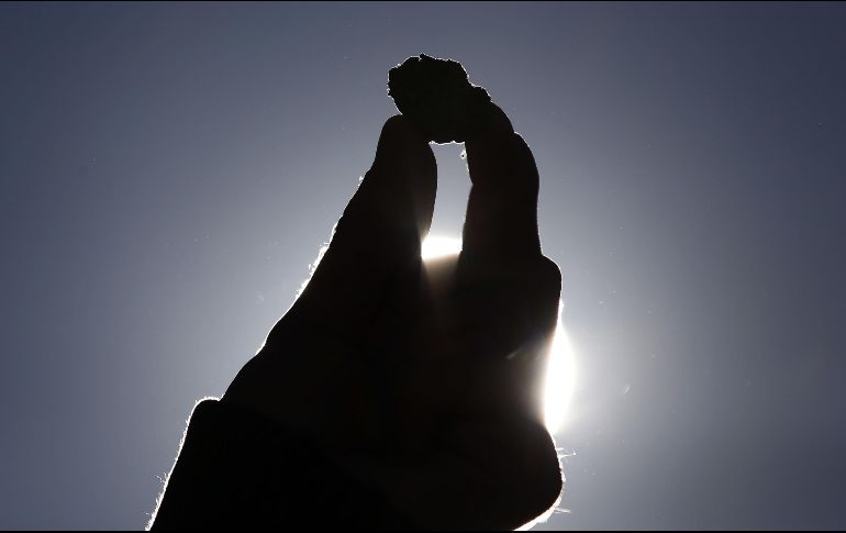 El pasado jueves el Senado de la República avaló la despenalización del uso lúdico, médico, industrial y de investigación de la marihuana. AP / ARCHIVO