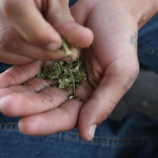 Arquidiócesis de México ve "preocupante" la despenalización de la marihuana