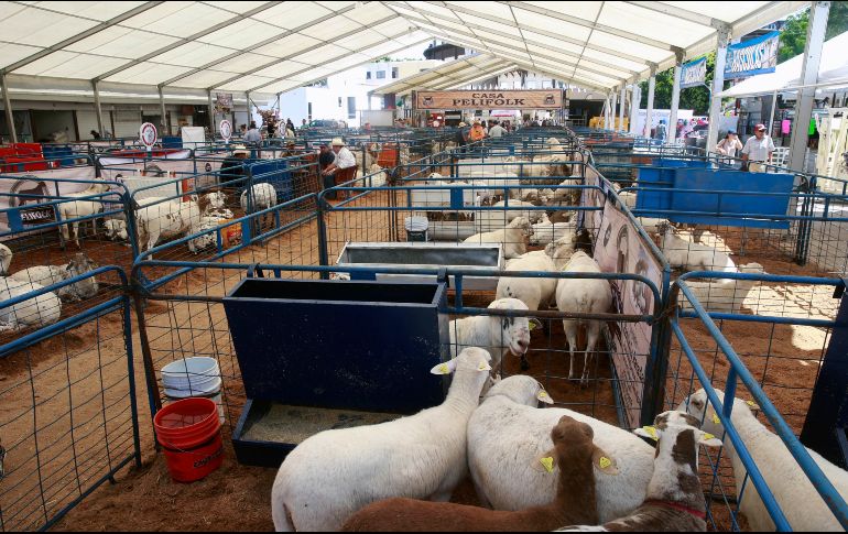 EL INFORMADOR / ARCHIVO