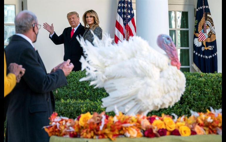 Durante la ceremonia, Trump se aproximó al animal 
