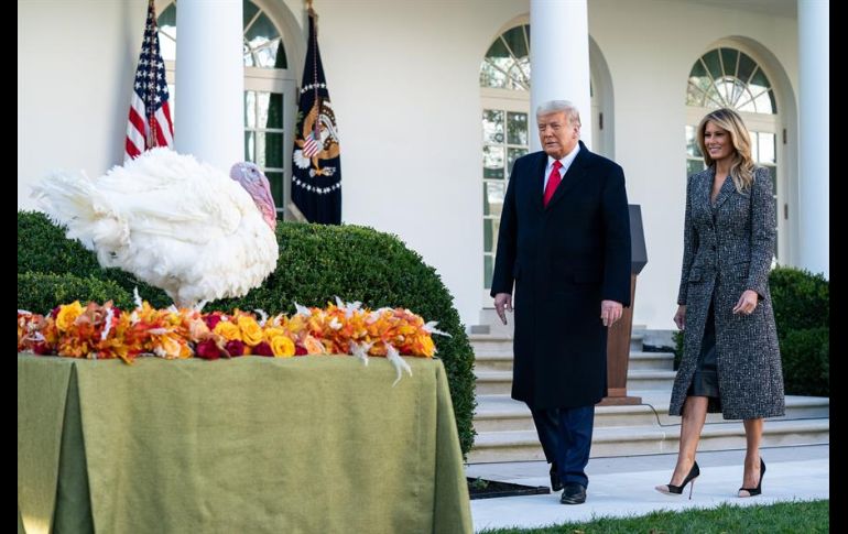 Durante la ceremonia, Trump se aproximó al animal 
