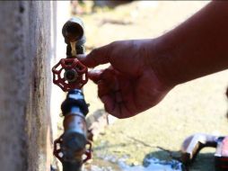 Las + Informador: Las noticias del 24 de noviembre de 2020