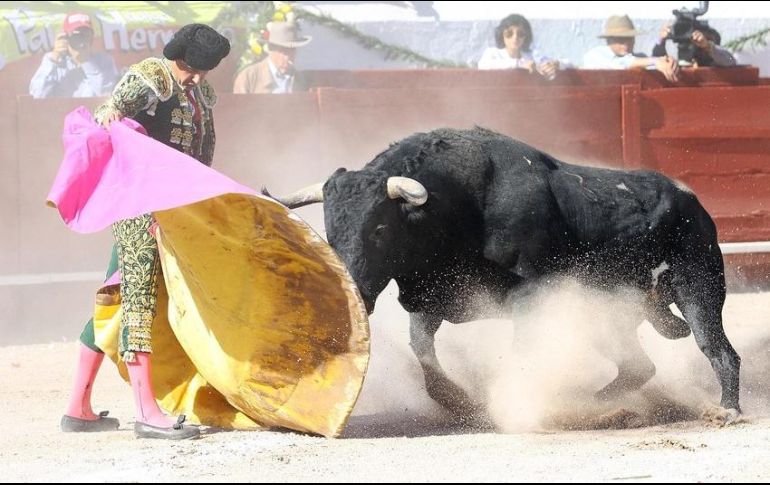 En 2018, el Congreso de Baja California aprobó una reforma para prohibir que los menores de edad entren a espectáculos públicos con animales. NTX/ARCHIVO