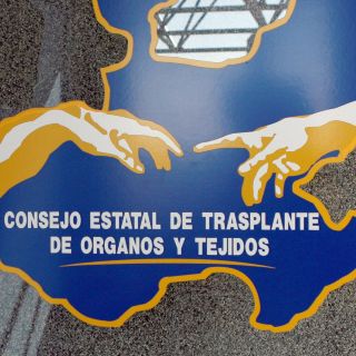 Proponen extinguir Consejo Estatal de Trasplantes de Órganos y Tejidos