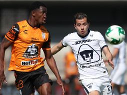 Pumas buscan romper una sequía de títulos que data del torneo Clausura 2011, cuando alzaron la séptima corona de su historia. EFE / M. Guzmán