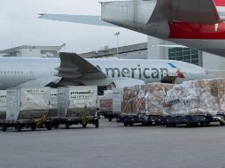 American Airlines anuncia que ya trabaja en su protocolo para distribuir las vacunas en cuanto sean aprobadas. ESPECIAL
