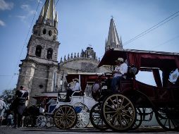 Las calandrias realizan de uno a dos viajes al día contra los cuatro que hacían antes de la contingencia sanitaria. EL INFORMADOR/F. Atliano