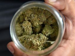 La nueva norma pretende sacar a la marihuana de la Lista de Sustancias Controladas de EU. EFE/I. Mejía