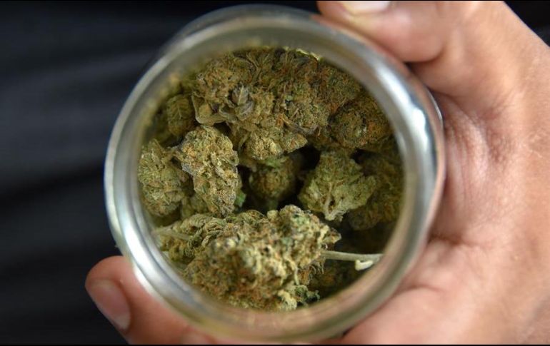 La nueva norma pretende sacar a la marihuana de la Lista de Sustancias Controladas de EU. EFE/I. Mejía