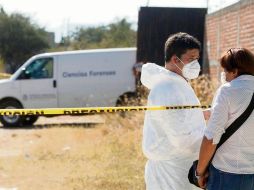 Nunca en la historia reciente de Jalisco se había asegurado tal cantidad de restos completos, cráneos, osamentas y “secciones humanas”. EFE/Archivo