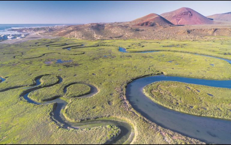 Humedales de la Bahía de San Quintín, de los más hermosos en Baja California. ESPEICAL/Turismo Baja California