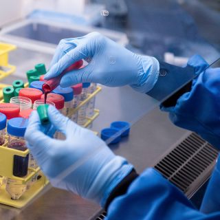 Coronavirus: Las 4 etapas en las que será distribuida la vacuna en México