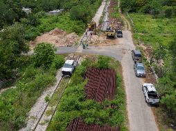 Según Fonatur, las obras del Tren Maya tienen uno de los planes de reforestación 