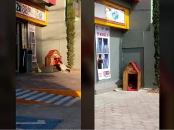 Empleados pidieron hacerse cargo de 