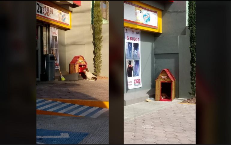 Empleados pidieron hacerse cargo de 