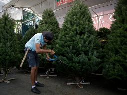 Para que se les permitiera instalarse, los comerciantes del tianguis navideño instalado en el Jardín de El Refugio debieron comprometerse a acatar las medidas sanitarias.  EL INFORMADOR/F. Atilano