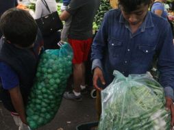Ante pandemia, alertan por aumento de trabajo infantil en Jalisco
