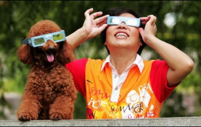 La mayoría de los organismos vivos tienen un reloj biológico sincronizado con el ritmo del Sol, entonces ¿qué les pasa durante la repentina oscuridad de un eclipse solar total?