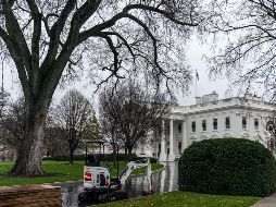 Crede Bailey fue uno de los más de 12 funcionarios de la Casa Blanca que fueron contagiados en un evento que celebró el presidente Donald Trump. AP / A. Harnik