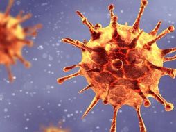 Desde su salto a los humanos hace aproximadamente un año, se han detectado unas dos mutaciones del Sars-CoV 2 cada mes.