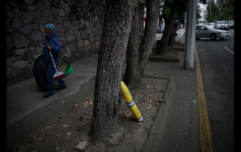 Alrededor de 110 bolardos de la ciclovía de la Avenida México en Guadalajara en ambos sentidos han desaparecido en el tramo entre Avenida Chapultepec y Los Cubos. EL INFORMADOR / F. Atilano
