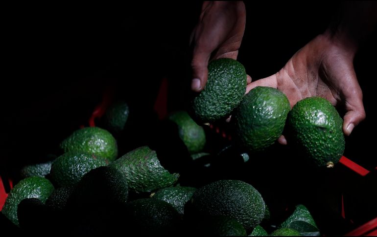 Se estiman pérdidas millonarias por el incendio en bodegas de aguacates. AP/ARCHIVO