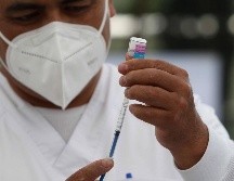 El plan nacional contempla cinco etapas de aplicación del biológico. SUN / ARCHIVO