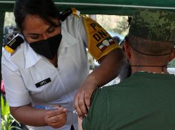 El primer lote para puesta en punto y prueba del operativo de aplicación será recibido este mes, 