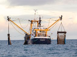 Si el Gobierno británico insiste en retener  la parte más fértil, podría verse castigada con duros aranceles a sus exportaciones. EFE/V. Flores